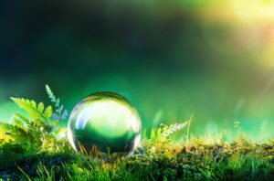 Certification ISO 14001