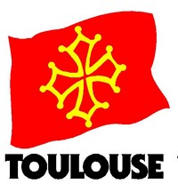 Conseil en Environnement Toulouse