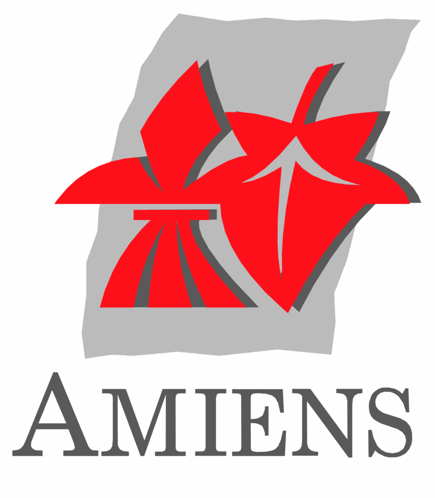 audit ISO 9001 Amiens